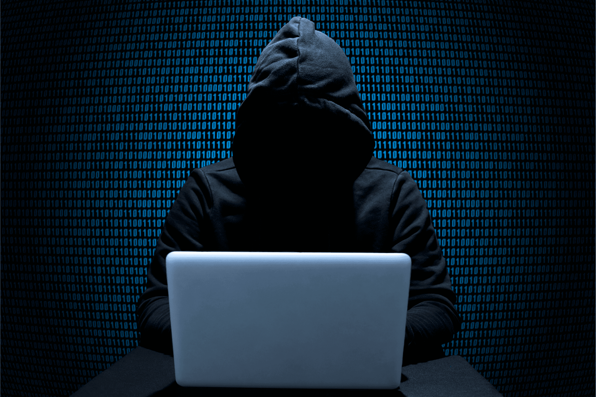 Your Guide to Web Application Penetration Testing