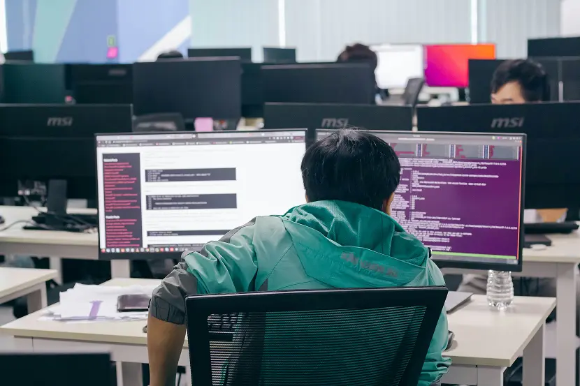 Our process for custom software integration
