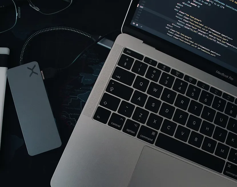Custom web application<br />
development process
