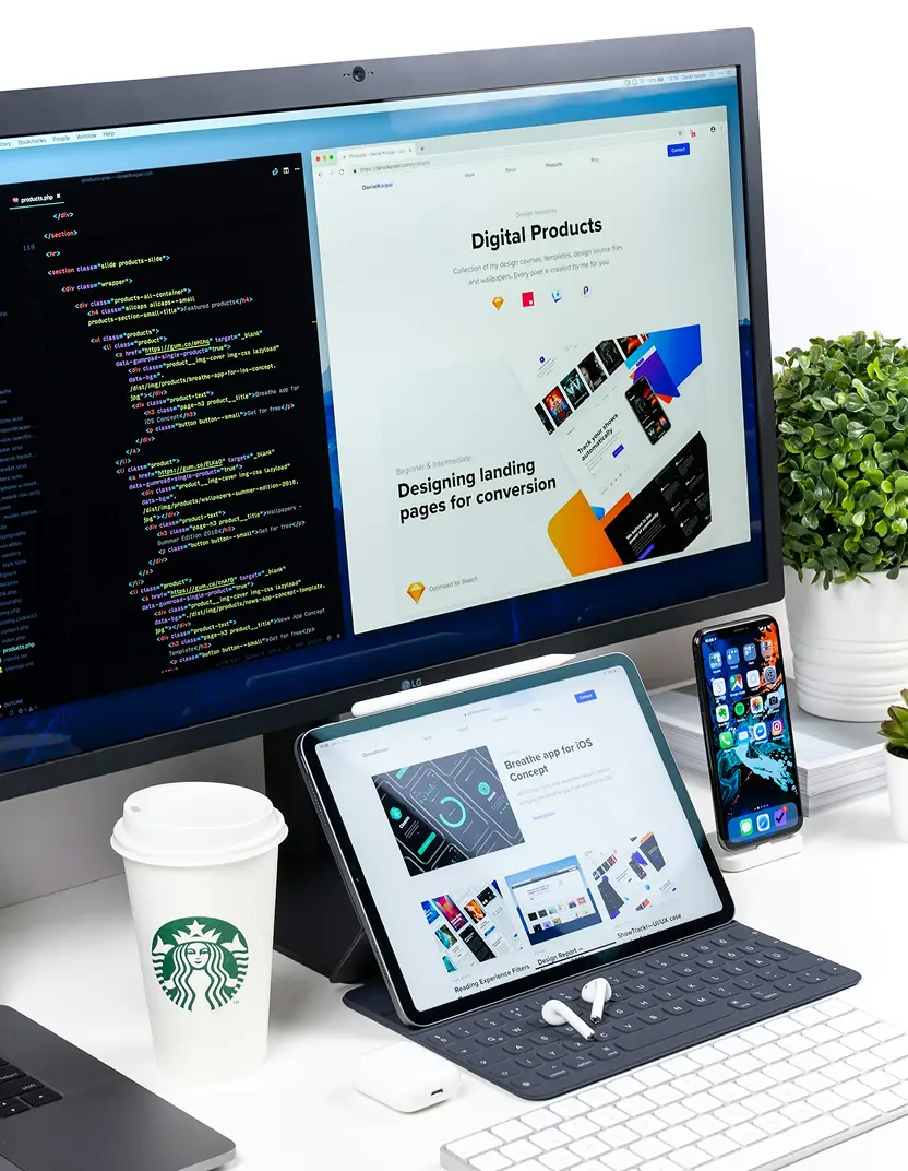 Web development process
