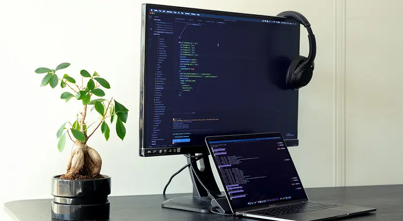 Web development process
